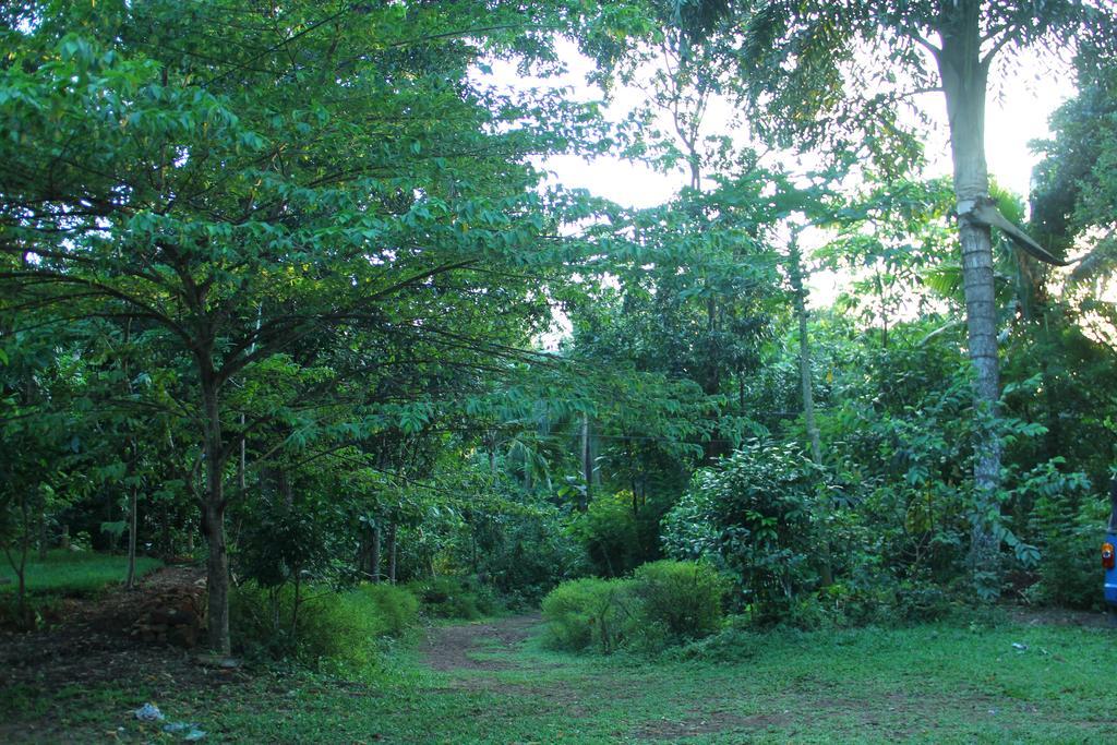 Abberny Villa Midigama East Zimmer foto