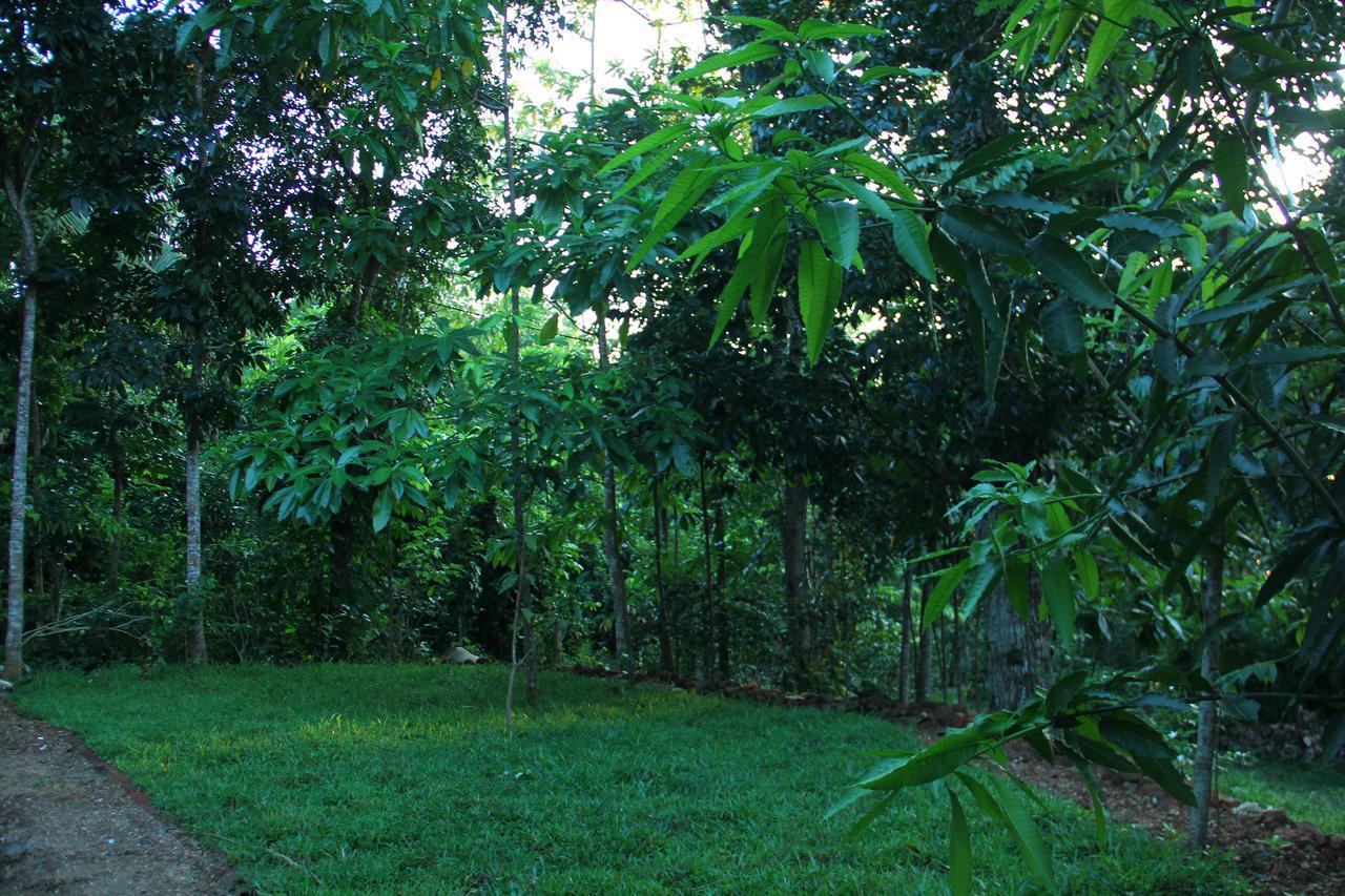 Abberny Villa Midigama East Exterior foto